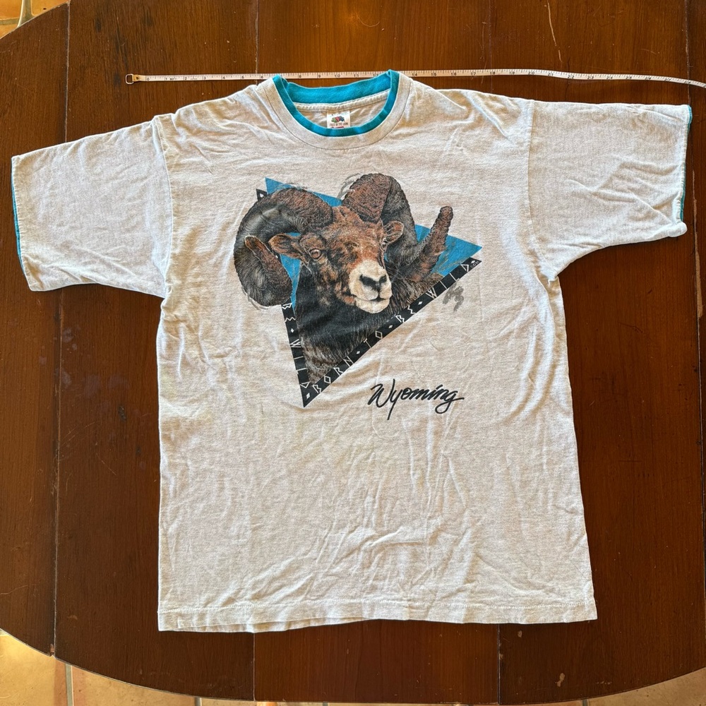 Vintage Fruit of the Loom, Made In USA Graphic Nature Tee